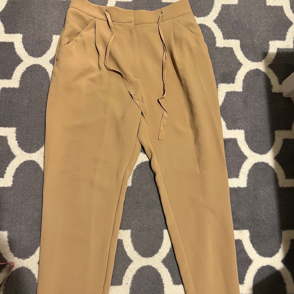 Aritzia Wilfred Pant